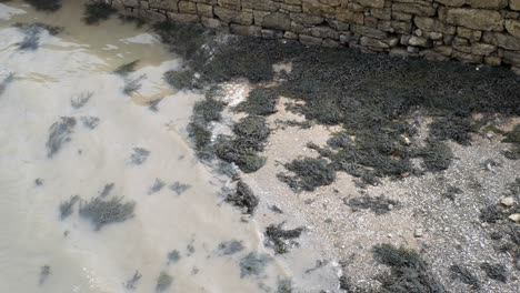 Overlooking-gentle-waves-lapping-against-empty-rocky-stone-seaweed-seaside-shore