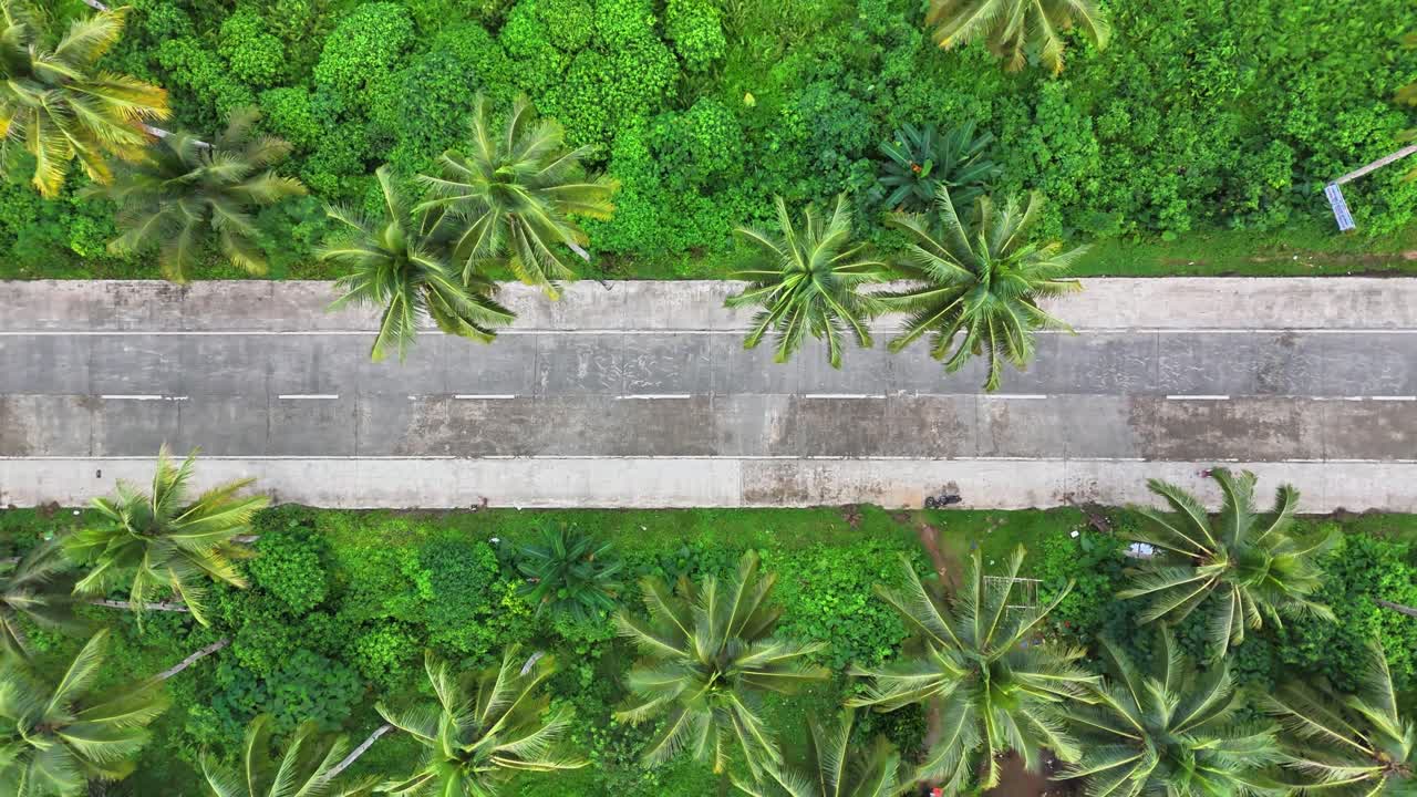 Drone captures vertical perspective of traffic in concrete road lined with coconut palms and dense green vegetation, ascending above Maasin Basin coconut plantation on Siargao Island