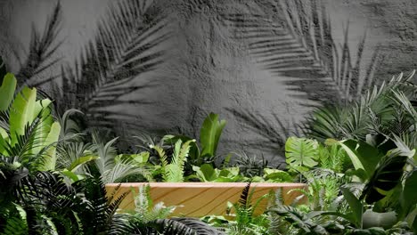 a wooden podium surrounded by tropical green foliage with palm leaf shadows on black textured wall. minimalist product display template. summer and nature concept. wallpaper.copy space.