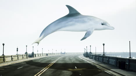 flying dolphin over a city bridge