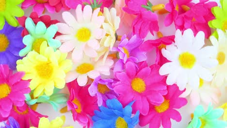 wildflowers on a white background. holidays. mothers day. international women's day. valentine's day.