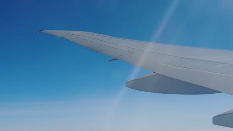 airplane wing view from above