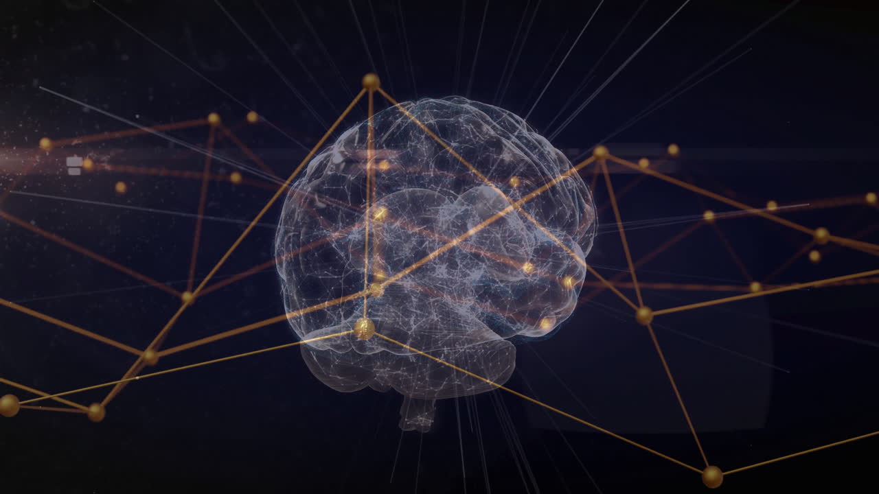 Animation of network of connections over human brain
