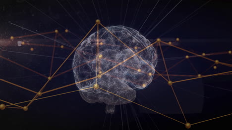 animation of network of connections over human brain