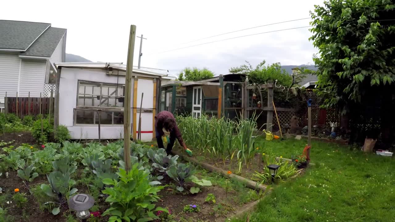 농부 뒷마당에서 정원 가꾸기 4k