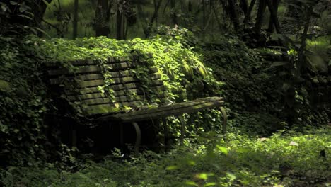 banco en el concepto de naturaleza del parque jardín verde, tierra segura, planeta verde