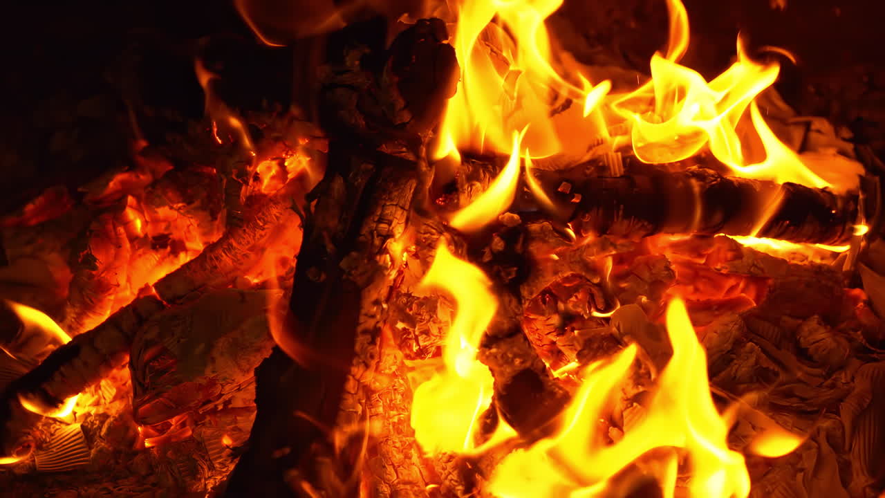 Burning fire with firewood. Red flames. Close up