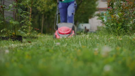 woman is mowing the grass with a lawnmower in the garden in the summer
