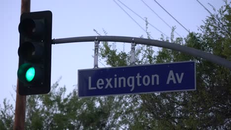 lexington avenue street sign - la