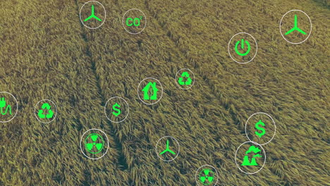 sustainability and eco-friendly icons animation over aerial view of wheat field