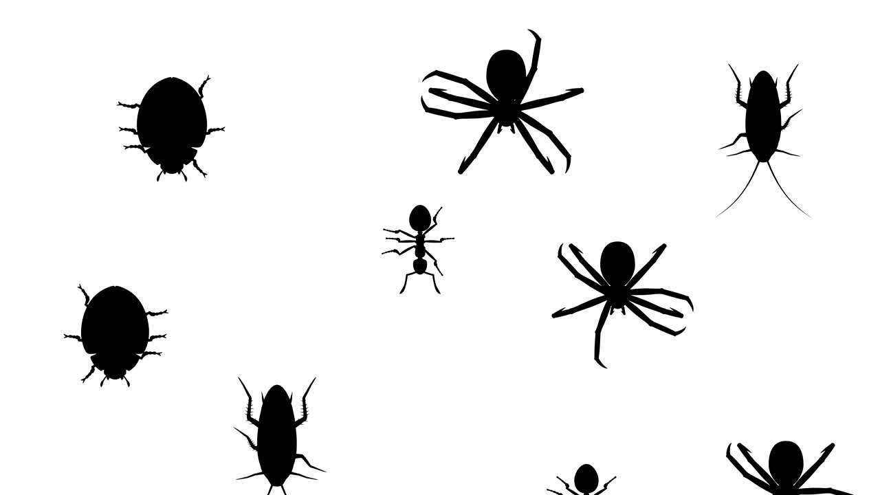 아래로 달리는 관절류