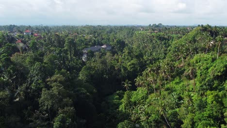 Aerial-4K-Drone-Footage:-Breathtaking-View-of-Lush-Rainforest,-Villas,-Tropical-Beauty-near-Campuhan-Ridge,-Ubud,-Bali