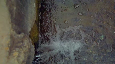 descending in to a holy well in the english countryside