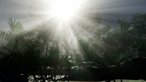 Sunset-Beams-through-Palm-Trees