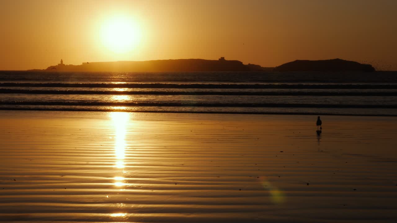 모로코의 에사우이라에 있는 모스크를 배경으로 한 섬의 바가에서 불어오는 파도와 함께 해가 지는 모습.