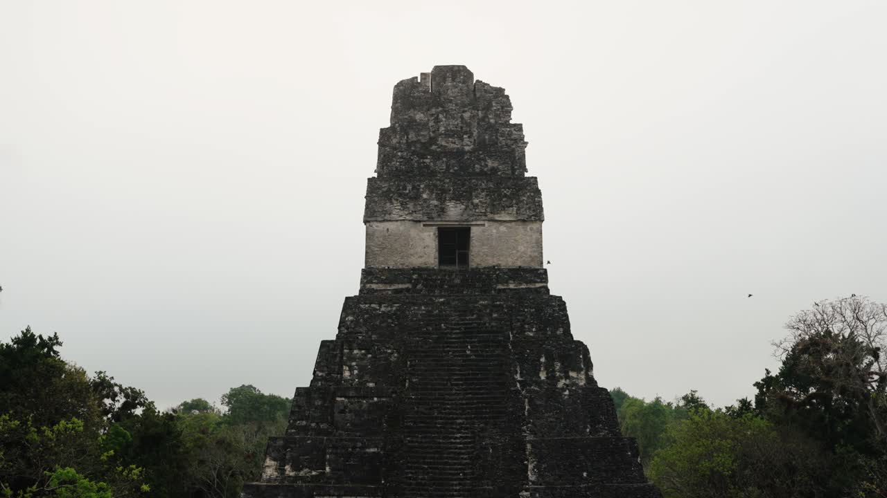 Front view of Temple I at Tikal, Guatemala, rising over the treetops beneath a hazy morning sky.