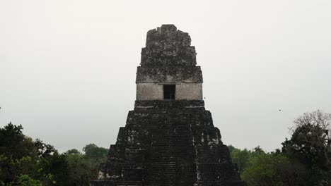 front view of temple i at tikal, guatemala, rising over the treetops beneath a hazy morning sky.