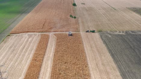 Vista-Aérea-De-Maquinaria-Agrícola-Cosechando-Maíz-En-Campos-Dorados