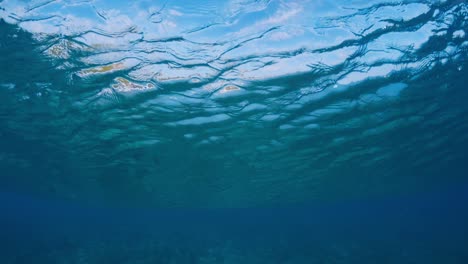 wave loop. seamless loopable crystal clear ocean wave rolls over the flat reef bottom in maldives