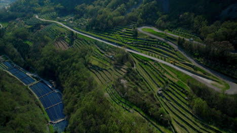 Exuberantes-Campos-En-Terrazas-Con-Viñedos-En-Los-Alpes-Italianos-En-Trentino-alto-Adigio,-Italia