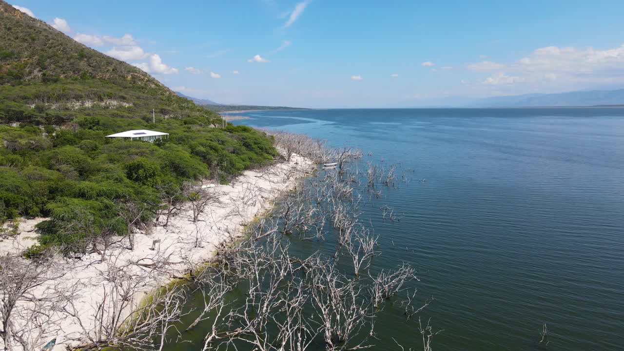 은 날 에 엔리키릴로 호수 연안 에 있는 잎 없는 나무 들