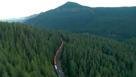 aerial shot of a freight train winding through pine covered mountainside