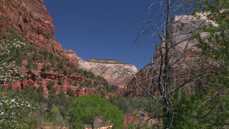 Establecedor-De-Formaciones-Rocosas-Empinadas-Del-Cañón-Del-Parque-Nacional-De-Zion,-Acercar