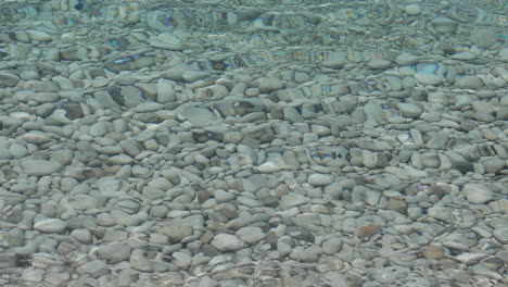 Textura-Del-Lecho-Marino-Con-Guijarros-Blancos-Bajo-Agua-Limpia-Que-Refleja-La-Luz-Del-Sol