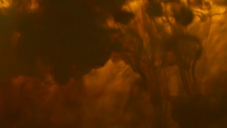abstract liquid colors