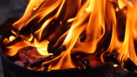 natural wood fire in an iron pot against black.