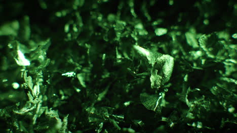 emerald color metal fillings close-up shot