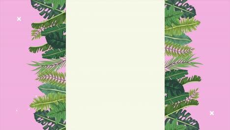 hojas exóticas tropicales marco de animación de ecología en fondo rosa y verde