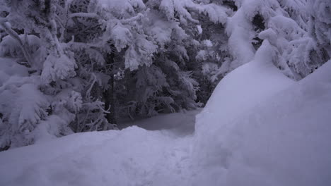 Dolly-Pan-Rodada-En-El-Maravilloso-Invierno-De-La-Montaña-Del-Este-De-Canadá