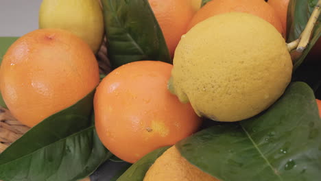 cítricos limón y naranja de cerca