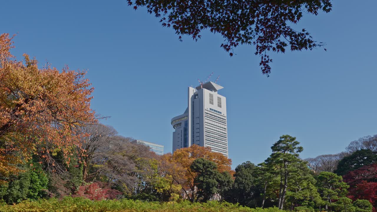 Uno straordinario scatto di contrasto che ritrae l'elegante e moderno grattacielo del Bunkyo Civic Center che si erge dietro gli alberi autunnali e il tradizionale paesaggio del giardino di Koishikawa Korakuen.