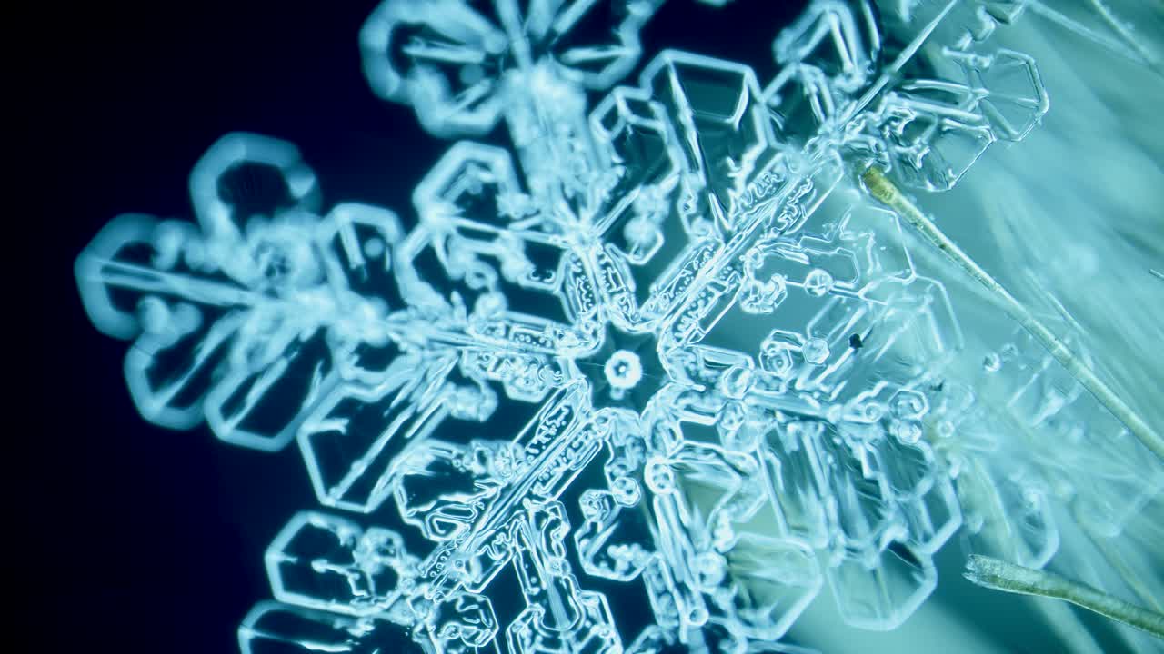 Cristallo di ghiaccio (fiocco di neve) sui peli di un pennello sotto microscopio a campo oscuro.