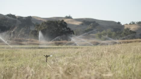 farming field covered in overhead sprinklers