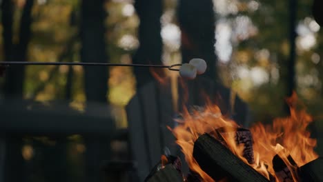 roasting two puffy marshmallows over camp fire in the fall