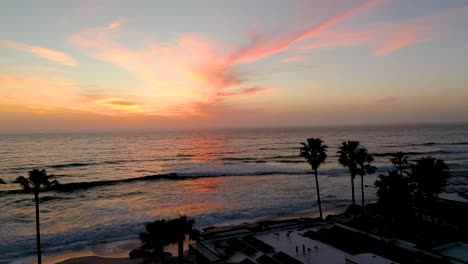 sunset and palm trees aerial shot of california beach during golden hour