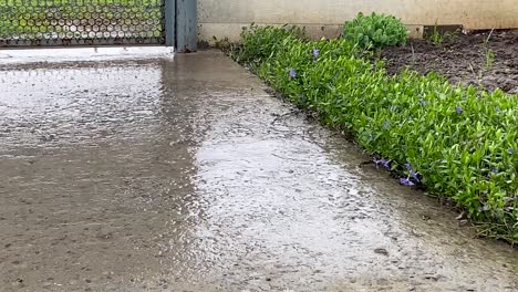 spring rain. close-up of a drop in a puddle on road. season of heavy rains. nature waters land for a good harvest. natural irrigation. the plants sprout in the warm summer rain.