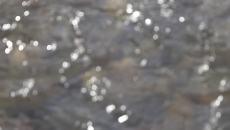 glistening water surface