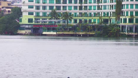 bird on water near hanoi club hotel