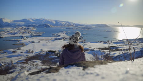 a woman takes in a breathtaking view while on a sunny winter hike along the arctic coastline of norway