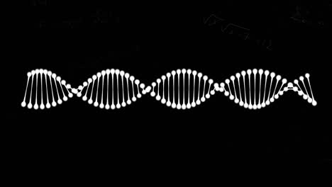 animación del hilado de cadenas de adn y procesamiento de datos sobre fondo negro
