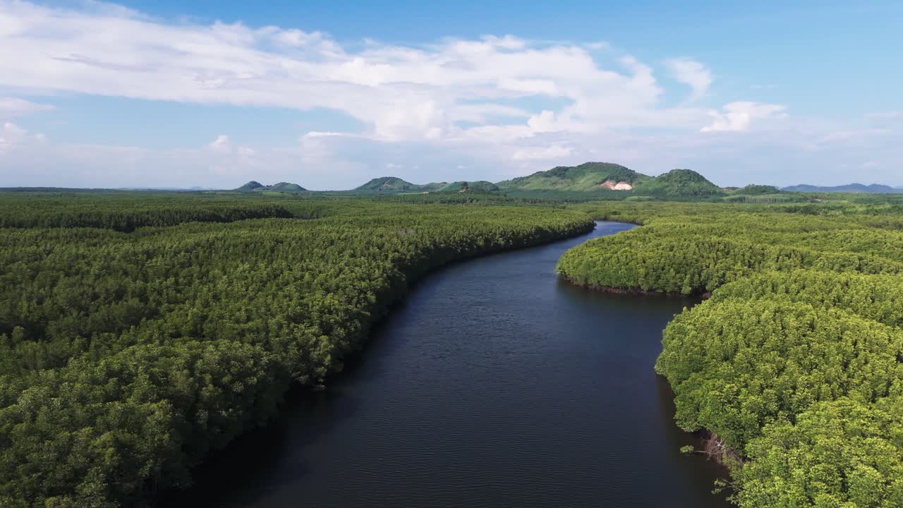 Sông, rừng ngập mặn rậm rạp và phong cảnh ở Krabi, Thái Lan.