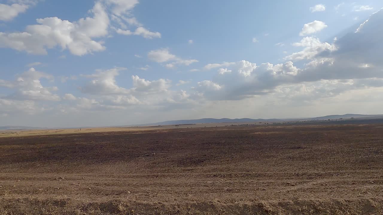 Bart landskab i Maasai Mara Nationalreservatet set fra en bil i Kenya, Afrika.