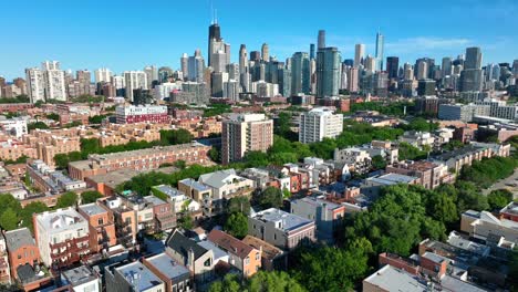 Árbol-Verde-Maduro-En-Un-Barrio-Residencial-Cerca-Del-Centro-De-Chicago,-Illinois