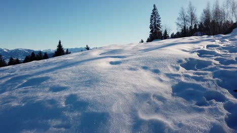 una colina de nieve durante un día soleado con pinos y un cielo azul