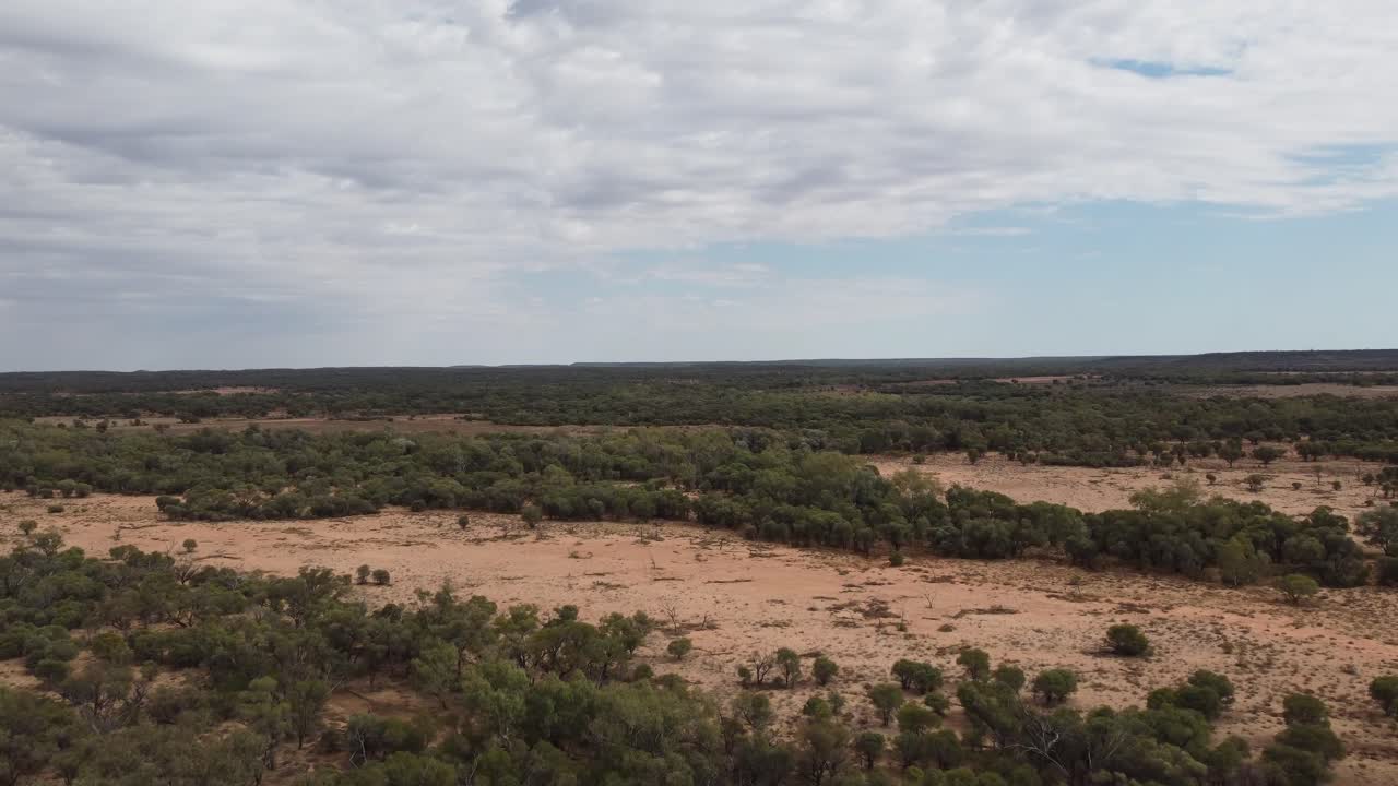 Vista aerea di un remoto entroterra con alberi e cespugli.