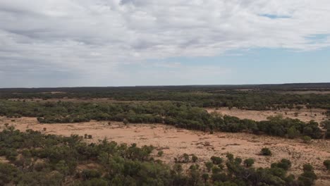 Vista-Aérea-De-Una-Tierra-Remota-Del-Interior-Con-árboles-Y-Arbustos